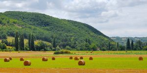 gallery_img_02