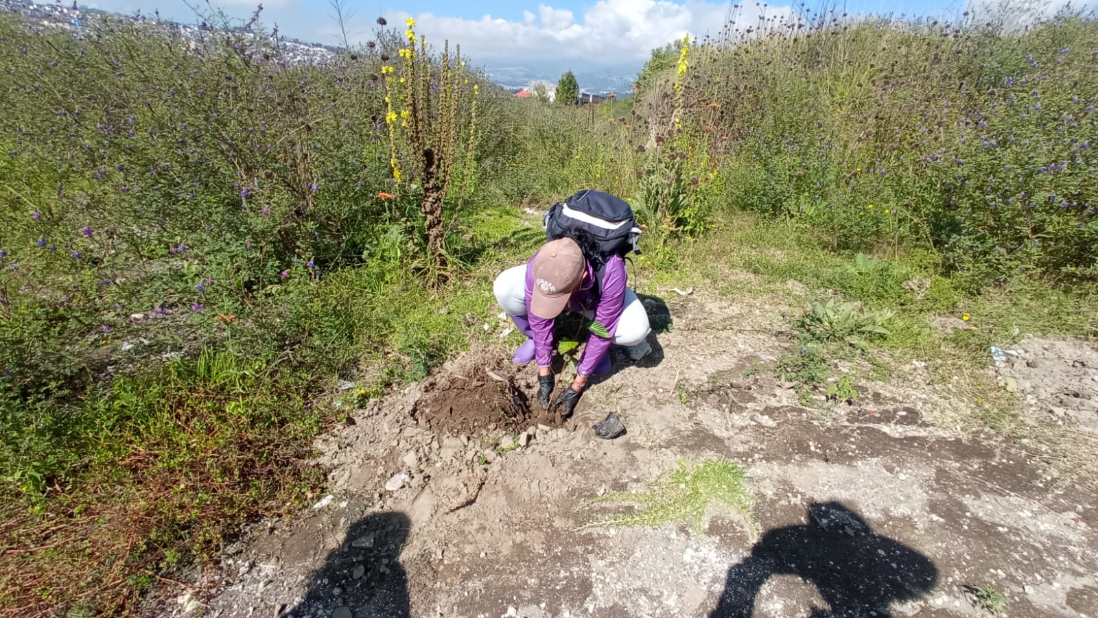 38816512-92cb-47a3-9555-8dabbb326ede