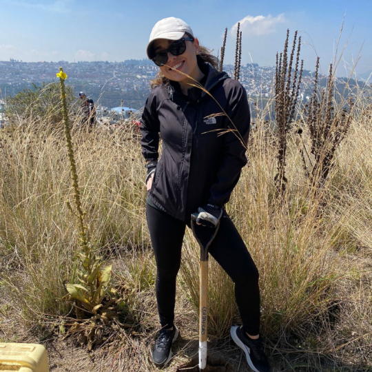 Diseño sin título (13)