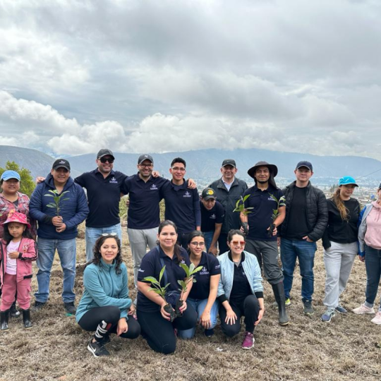 Diseño sin título (3)