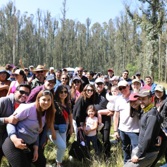 Diseño sin título (5)