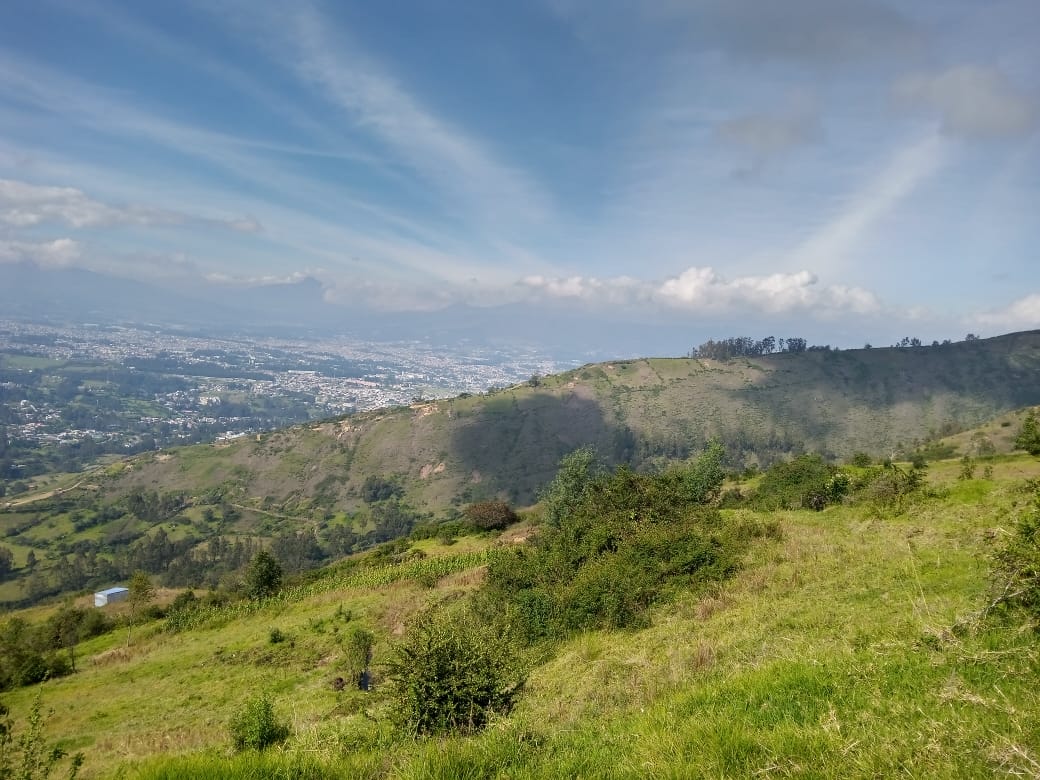 WhatsApp Image 2021-02-13 at 3.33.21 PM