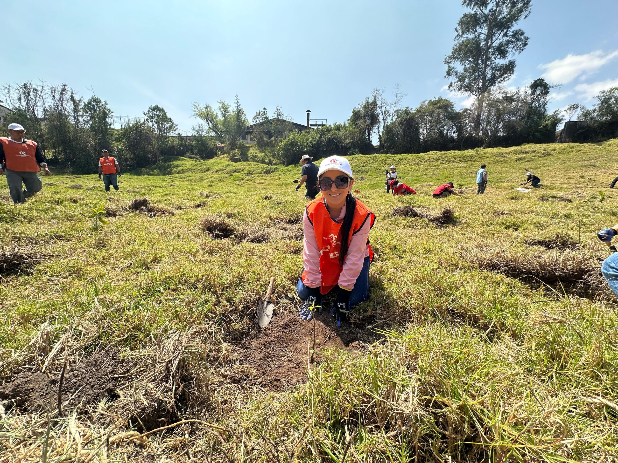 03fa25ba-ba34-4f77-818d-adb5bca9194b