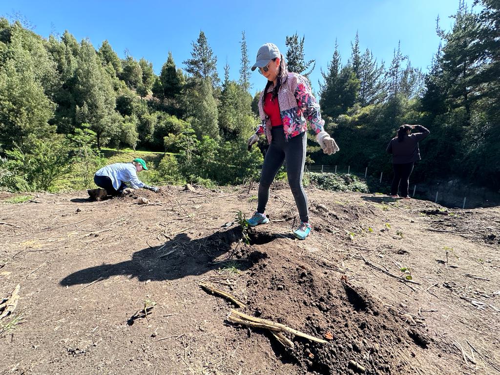 088ee3c8-c0df-4589-bcae-2c04b99fa54a