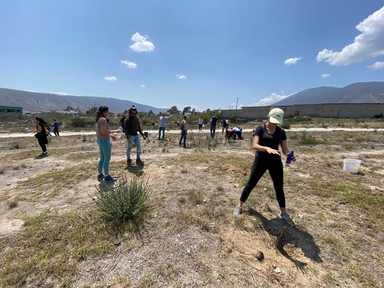 08ad206b-fb96-4443-90cd-de335d345511