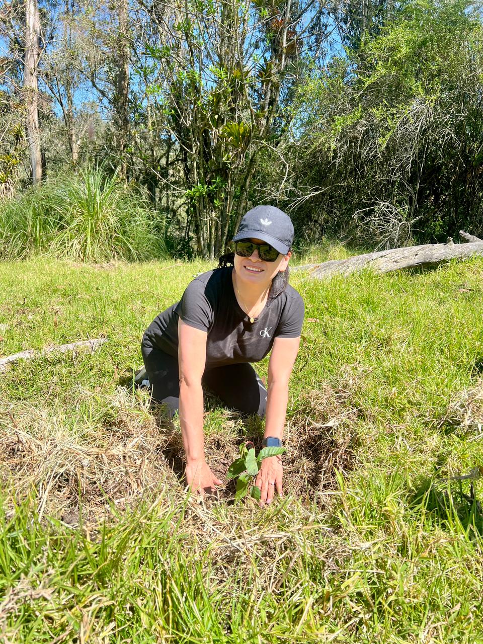 0a681f74-9a2a-47cd-a8be-a58c2dd38e9a