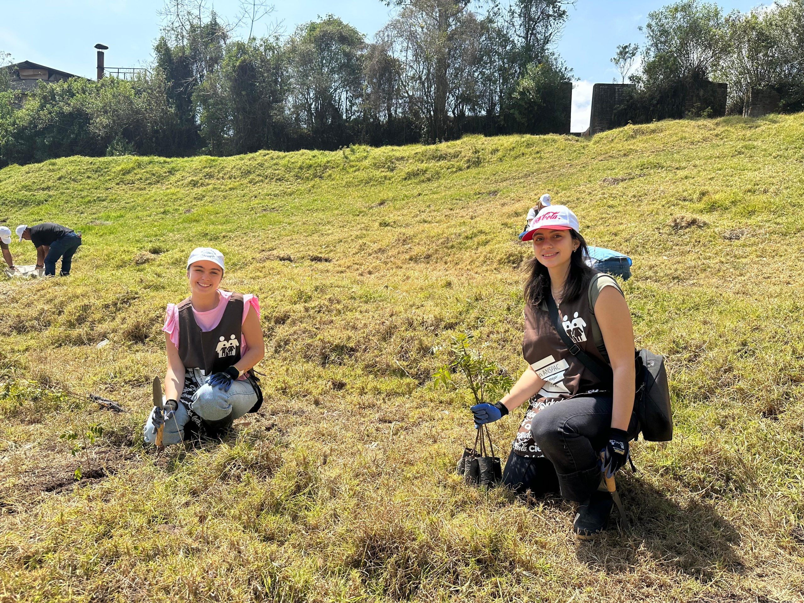 0b180f69-cf5b-4117-b0a1-de3e22e887f8