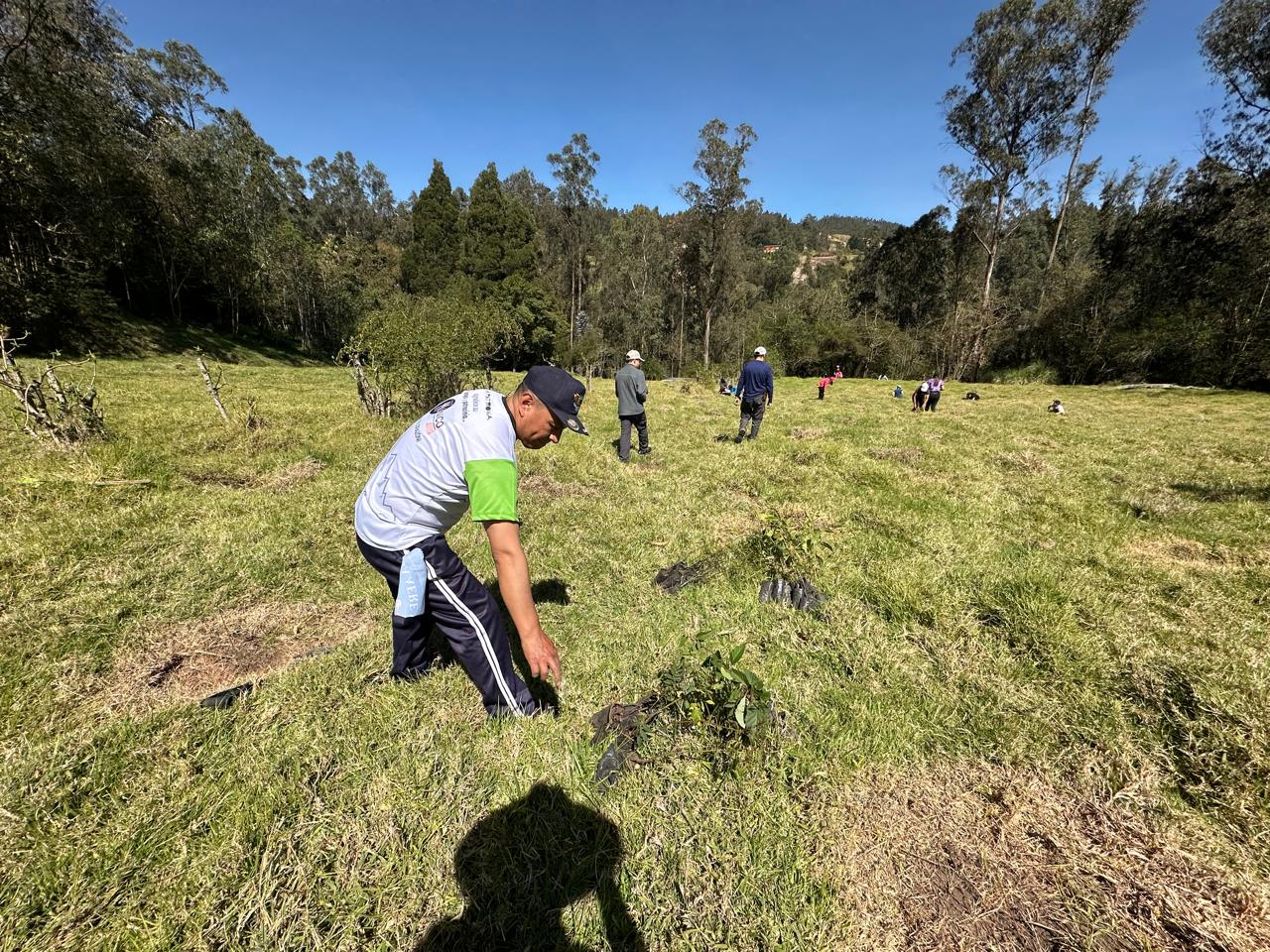 15dab4c4-deaf-4cc4-b219-57ea9035ff5b