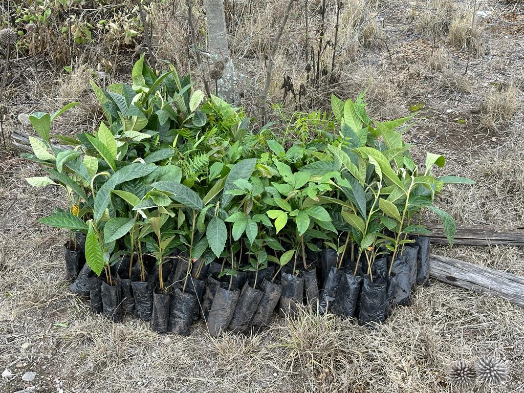 1c8cd6b0-d6a1-473d-be11-c376b8182893