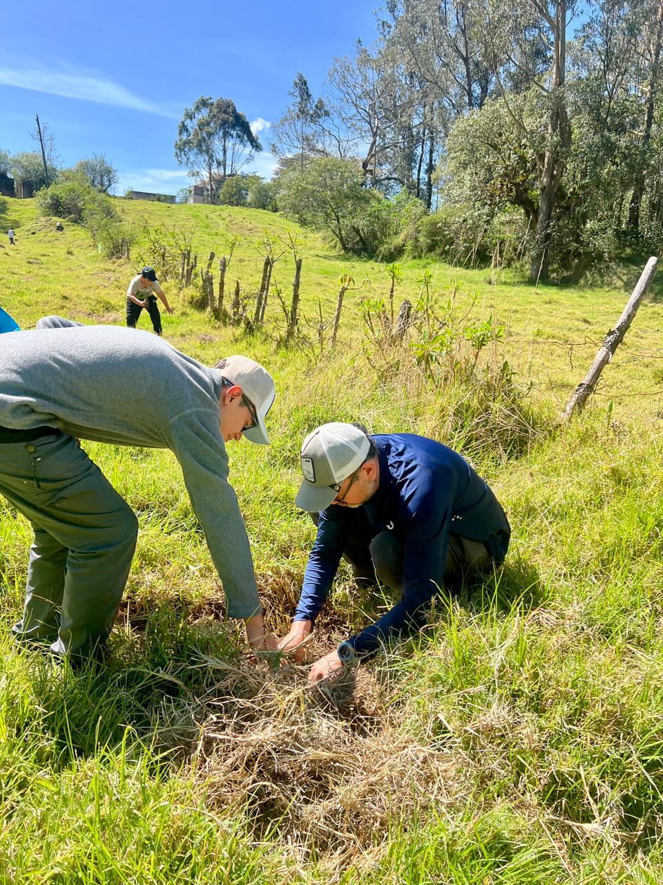 1f162591-ebb4-41e5-bd1e-81d476851abc