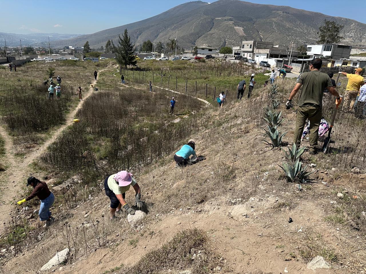 1f892034-a14a-4e00-83df-007b275f0e58