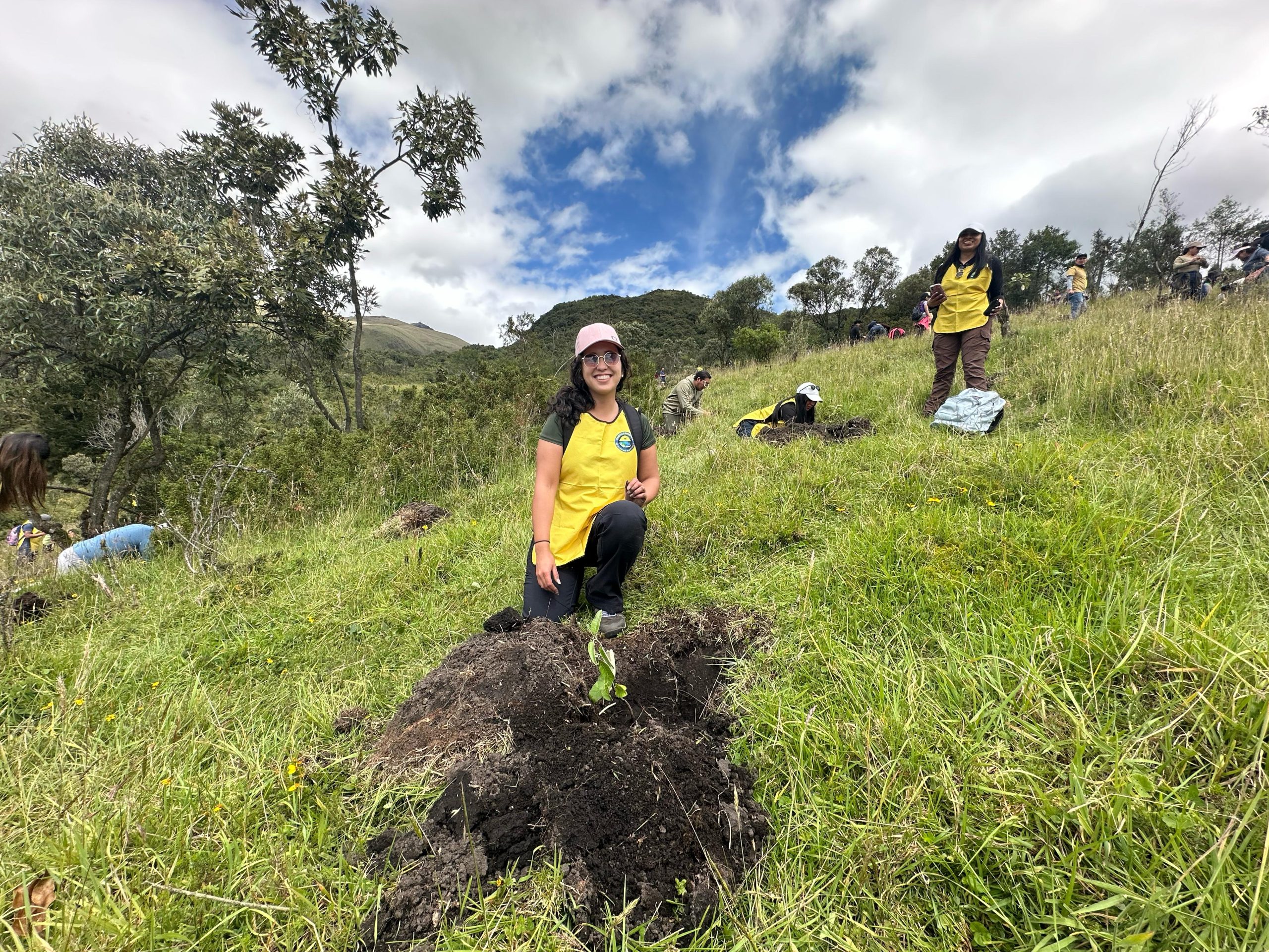 2b63e3d4-740d-4121-80d4-eaa338fc6d7d