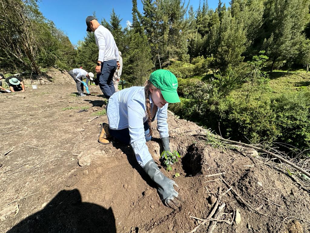 36204dd0-6369-443d-8323-4caecd7b9467