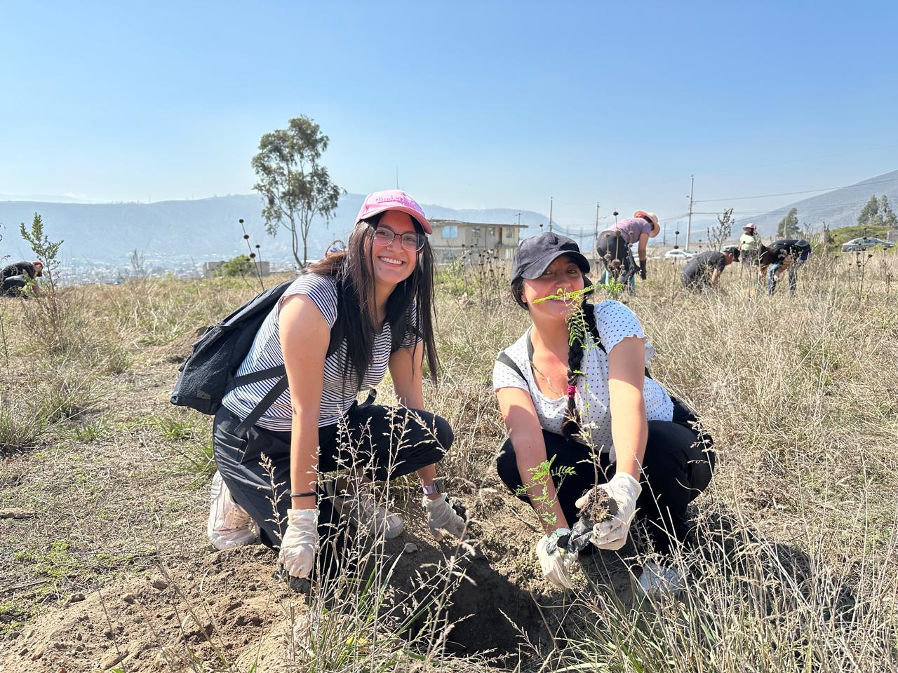 419ca82f-68cc-4aeb-bd14-0ba945f2357e