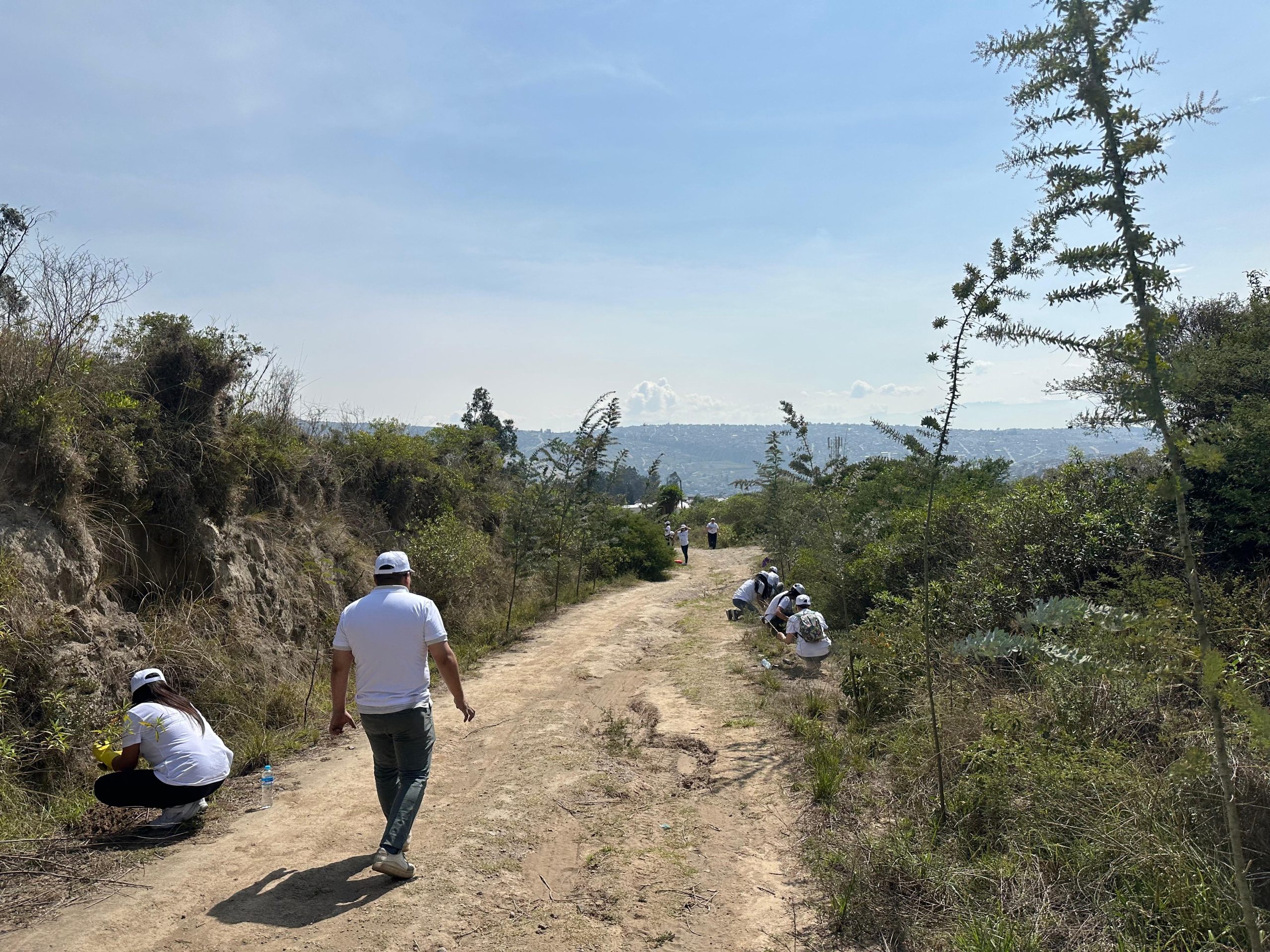 4ee8d71f-652a-432c-bd79-800ff6bf608a