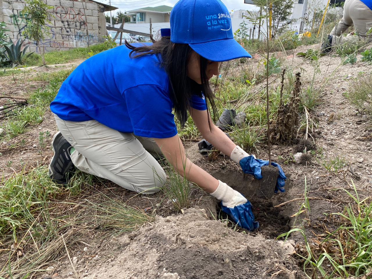 5b00dfb2-d72c-4a44-9c68-a5f0edf74be3