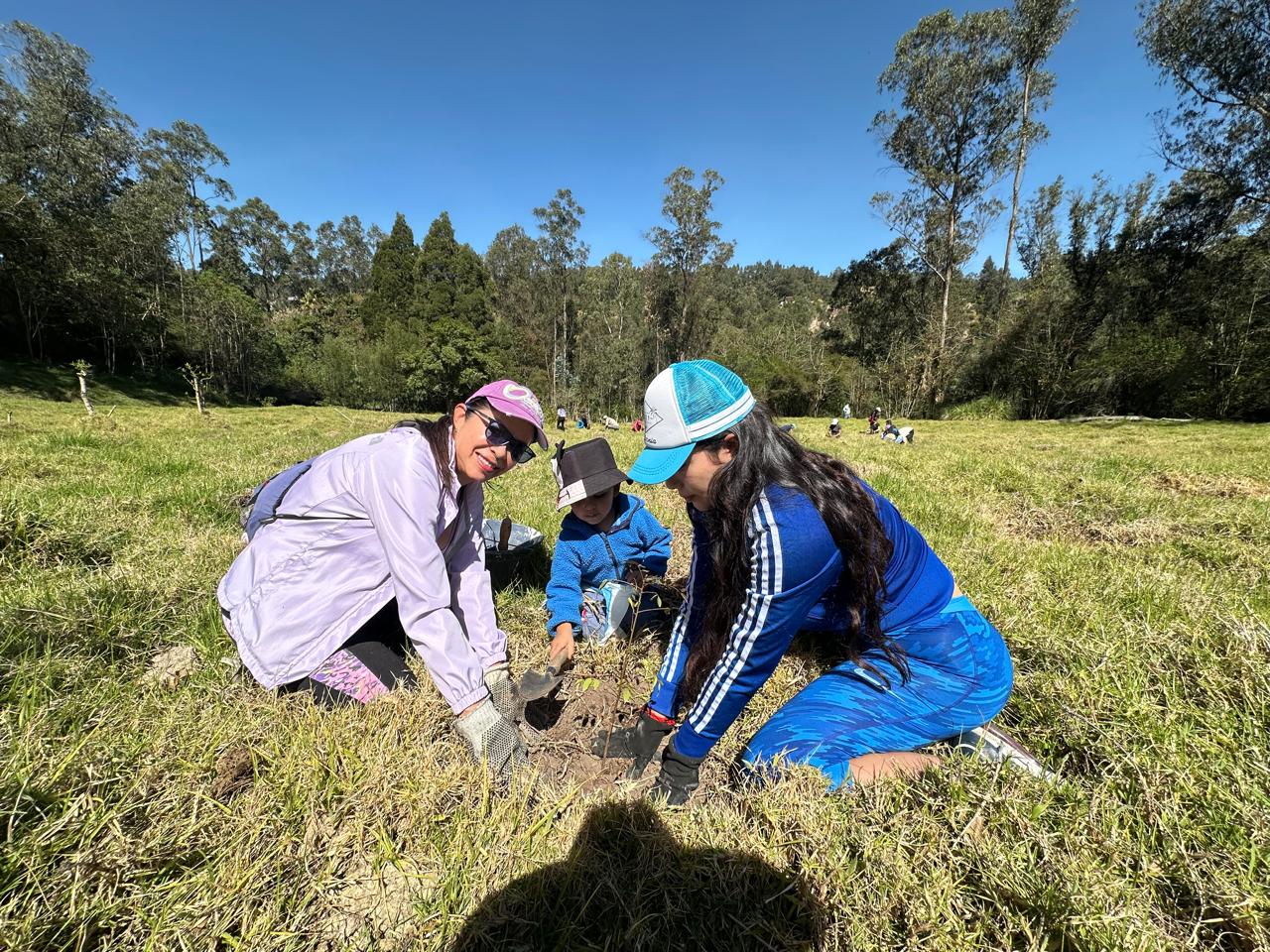 5cca10b6-60d1-42e2-b742-9bfdc8c03789