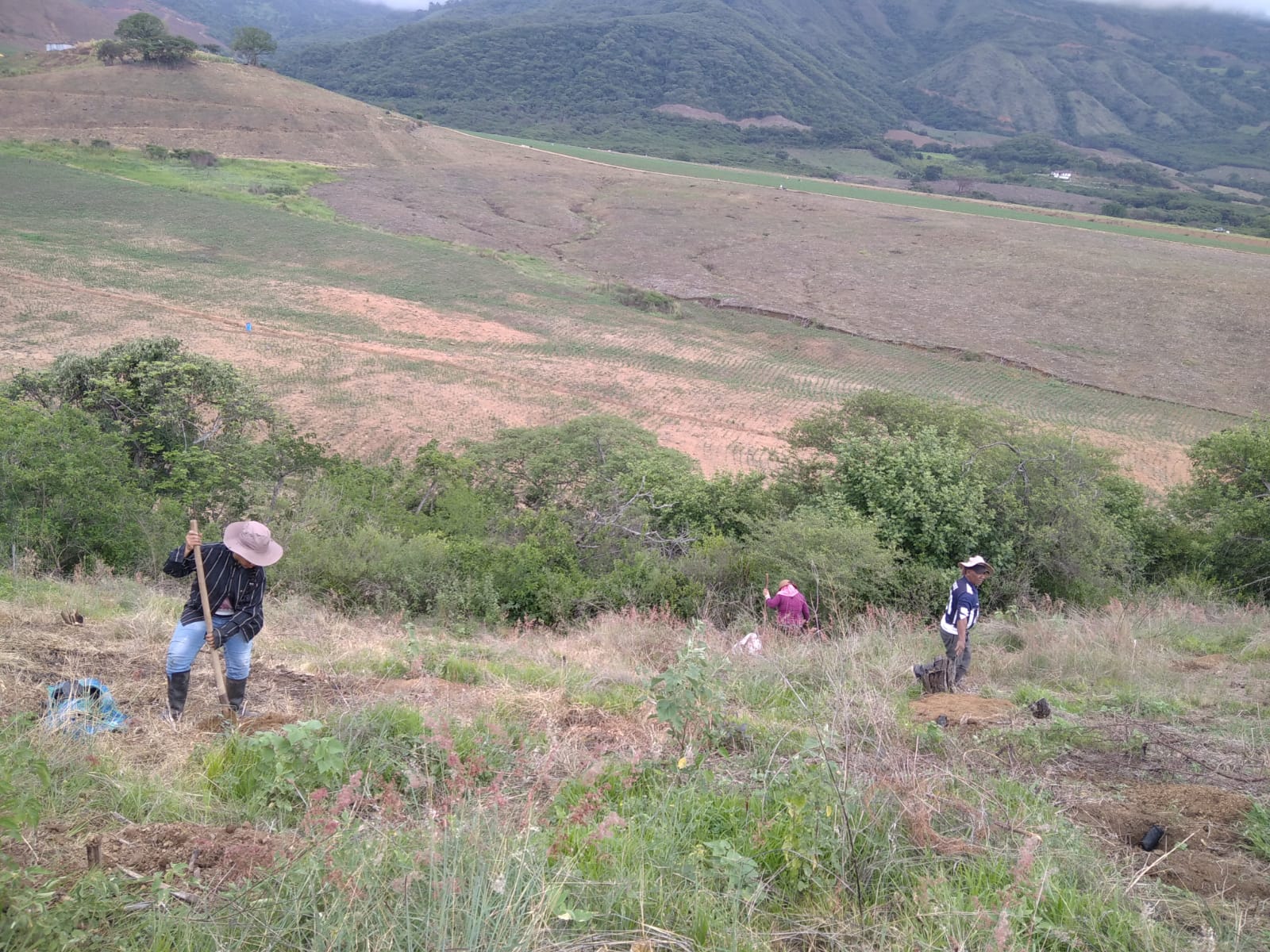 6b549826-03a3-410c-8c93-ee2e871f704b