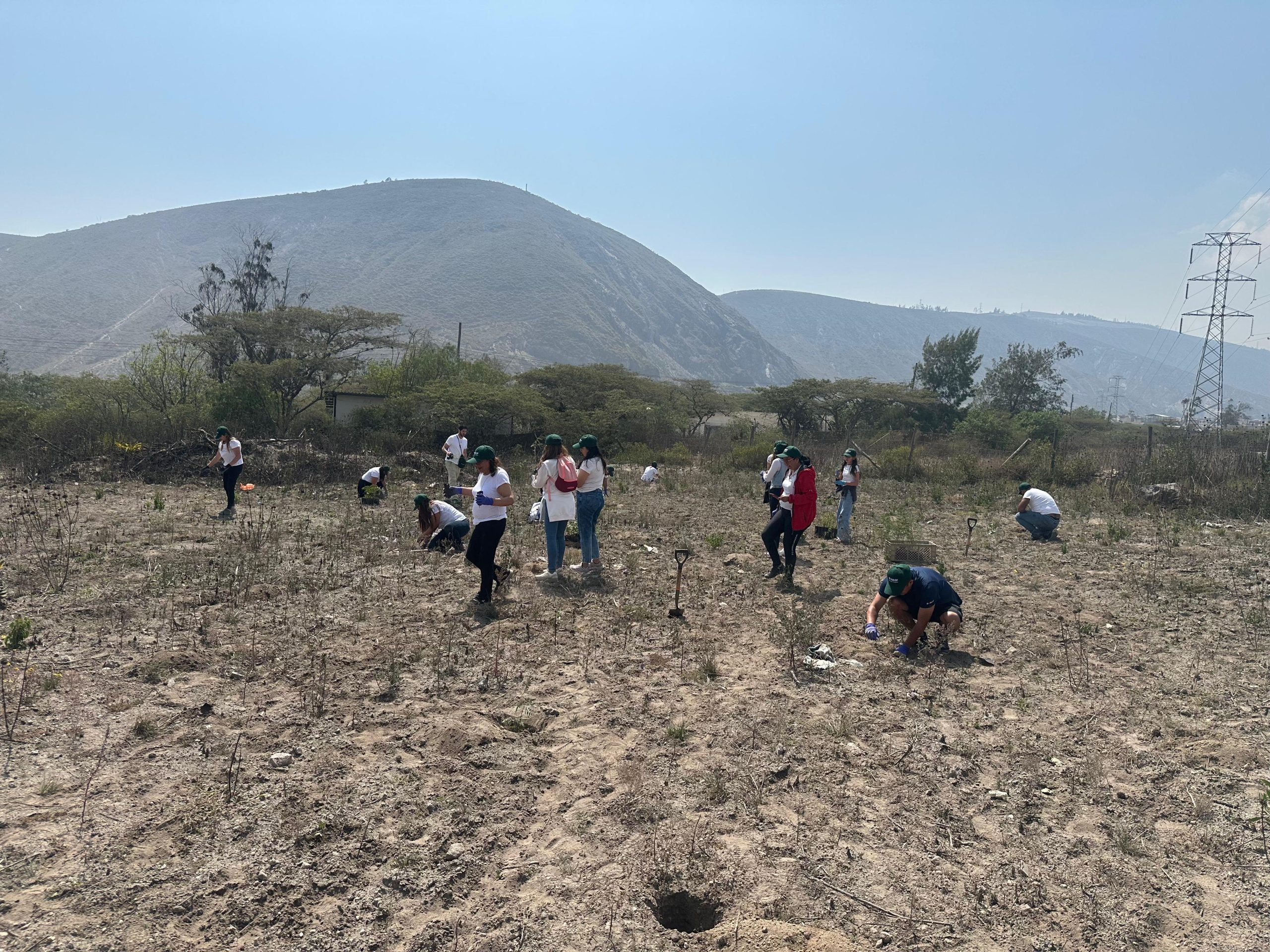 73e3be0a-d530-4ff4-8ee2-d00eb7e9bb45