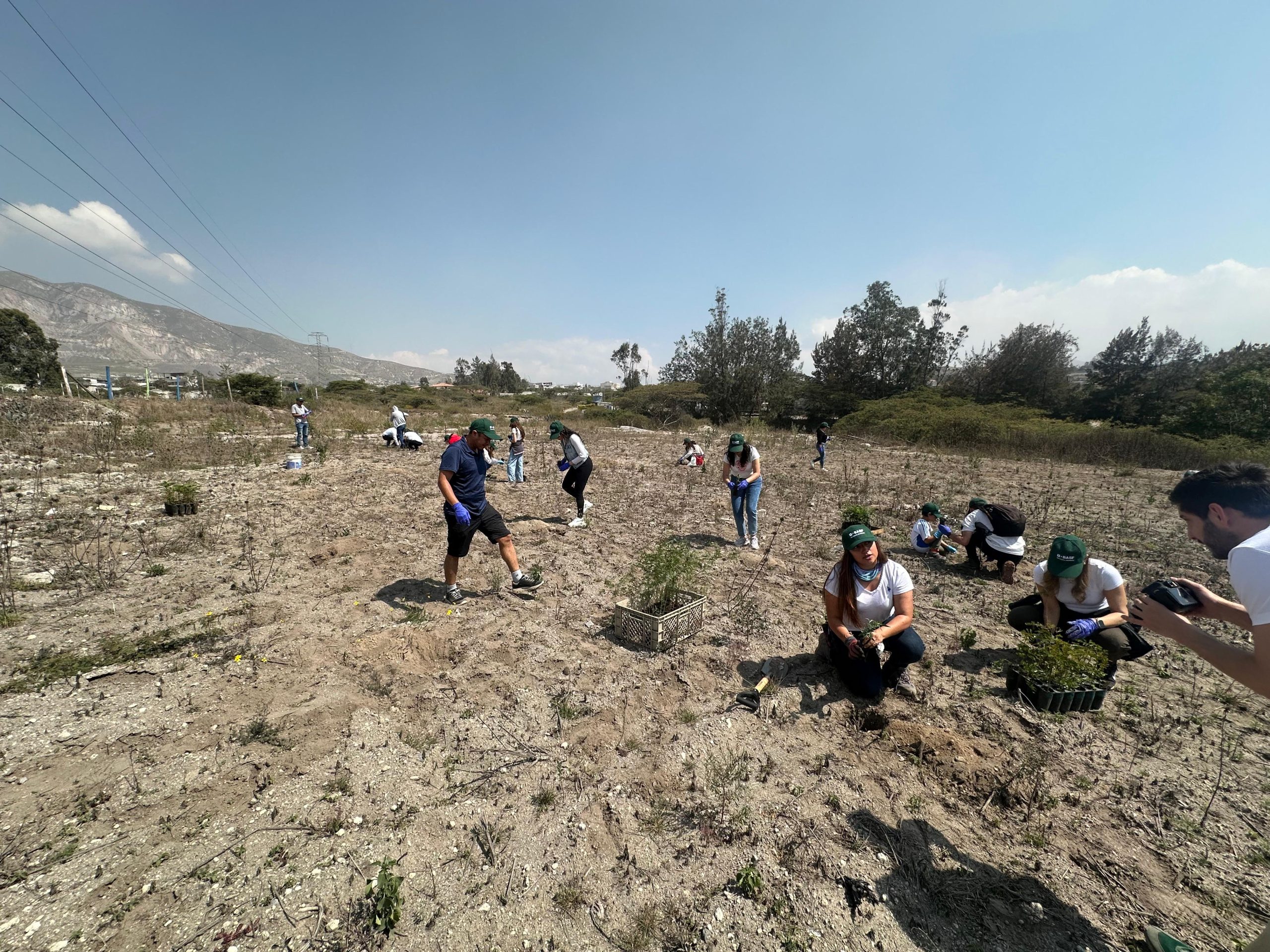 77303340-1d36-4b86-9bc2-a0235a5f0432