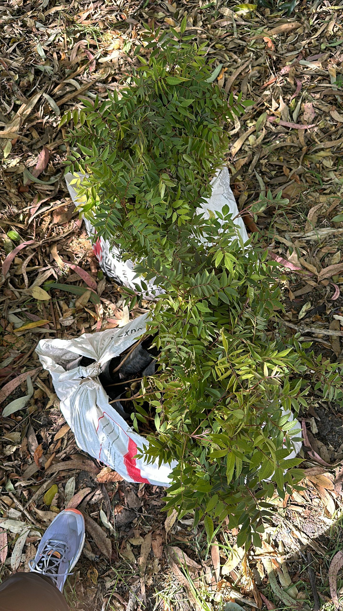 780f7215-5b3d-47d0-a24c-8a077990886f