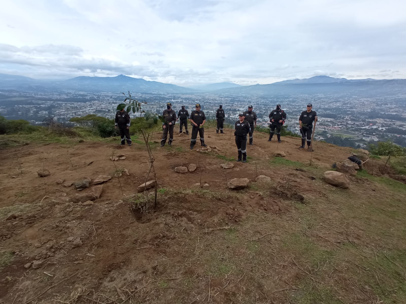 7e7bbace-e1fd-485f-89e1-e14f76b5f564