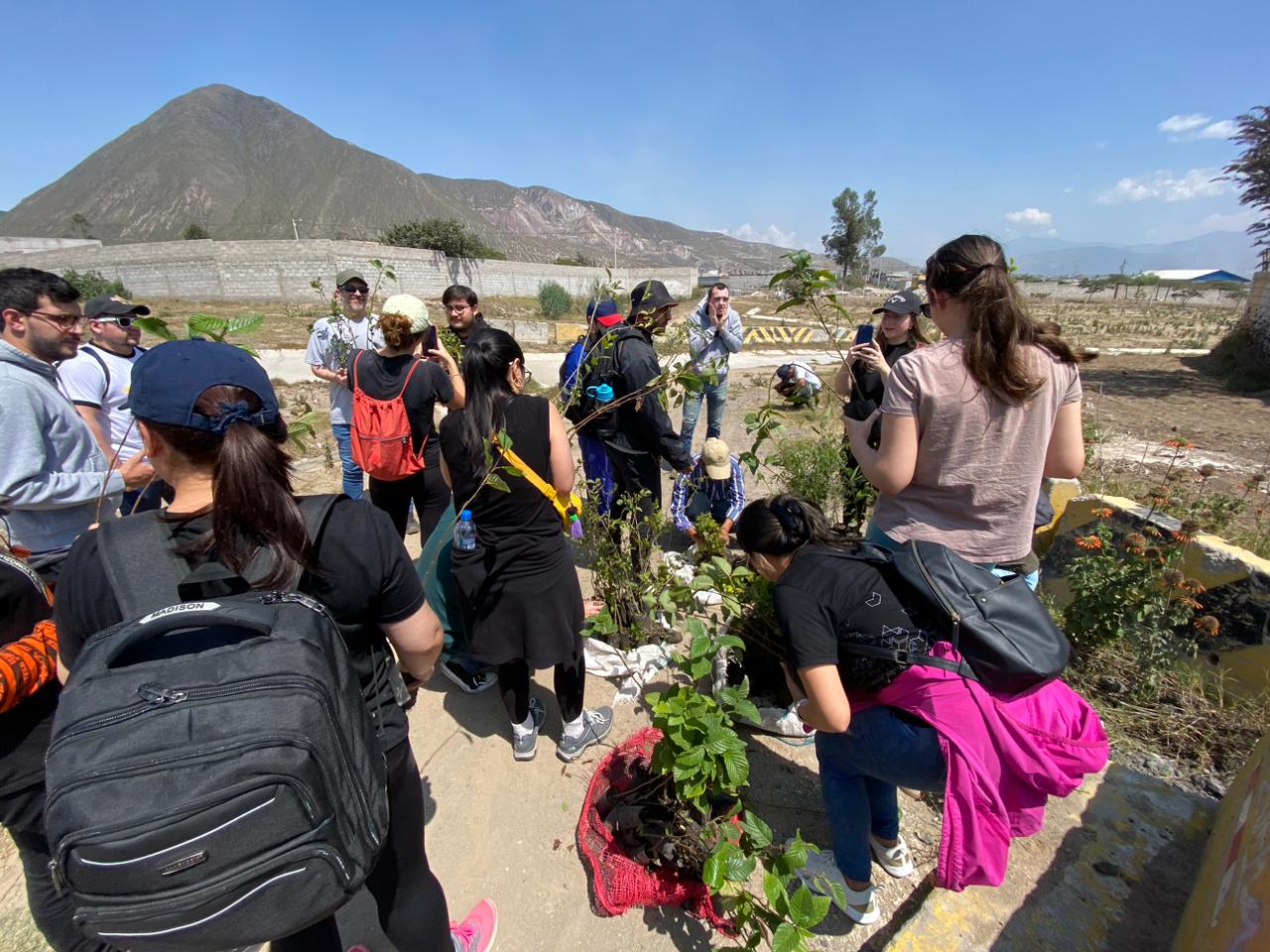 85ab3d3b-aad9-4a81-901c-f82fa0aaefc0