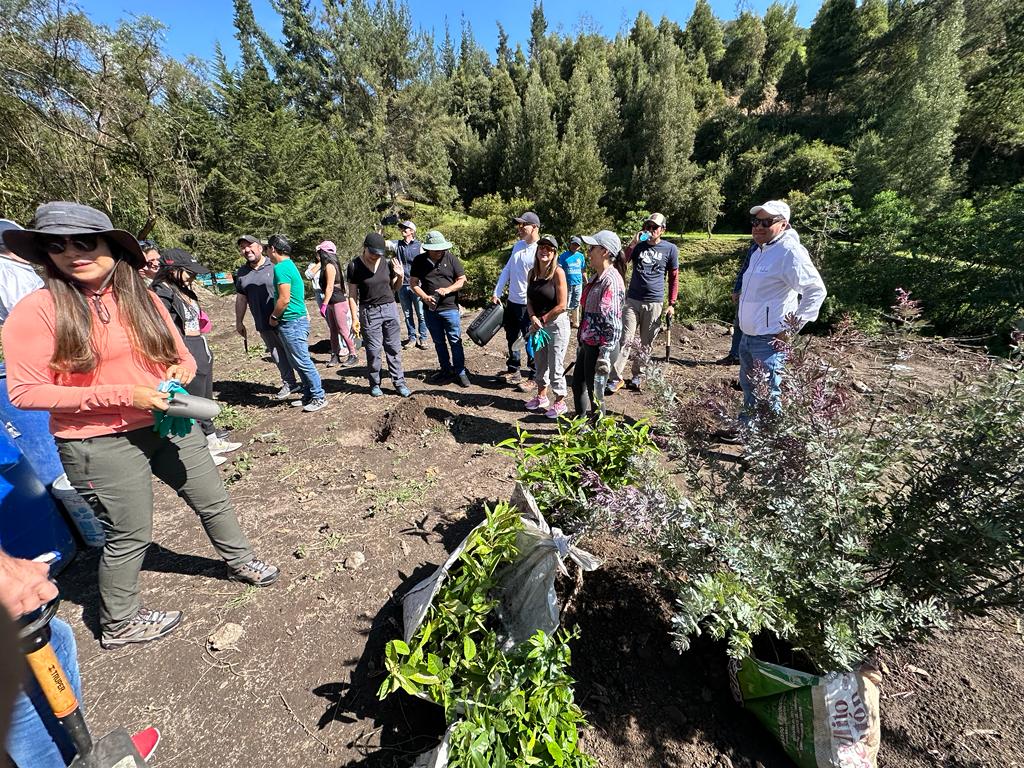 85eeccf4-bbe6-4834-8256-7b47d8079071