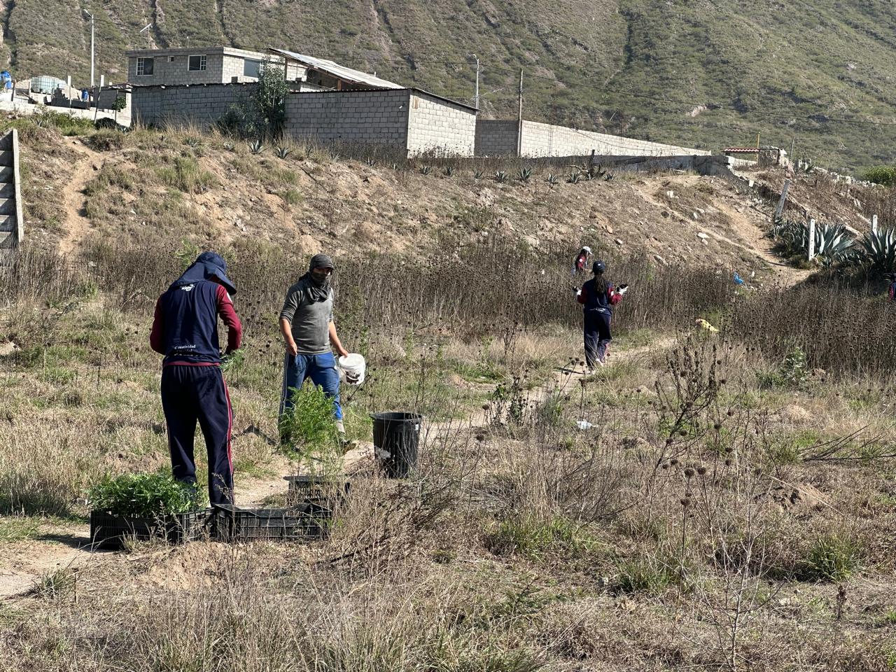 94db3a2b-f352-4c03-a44c-aa52eb05b3d2