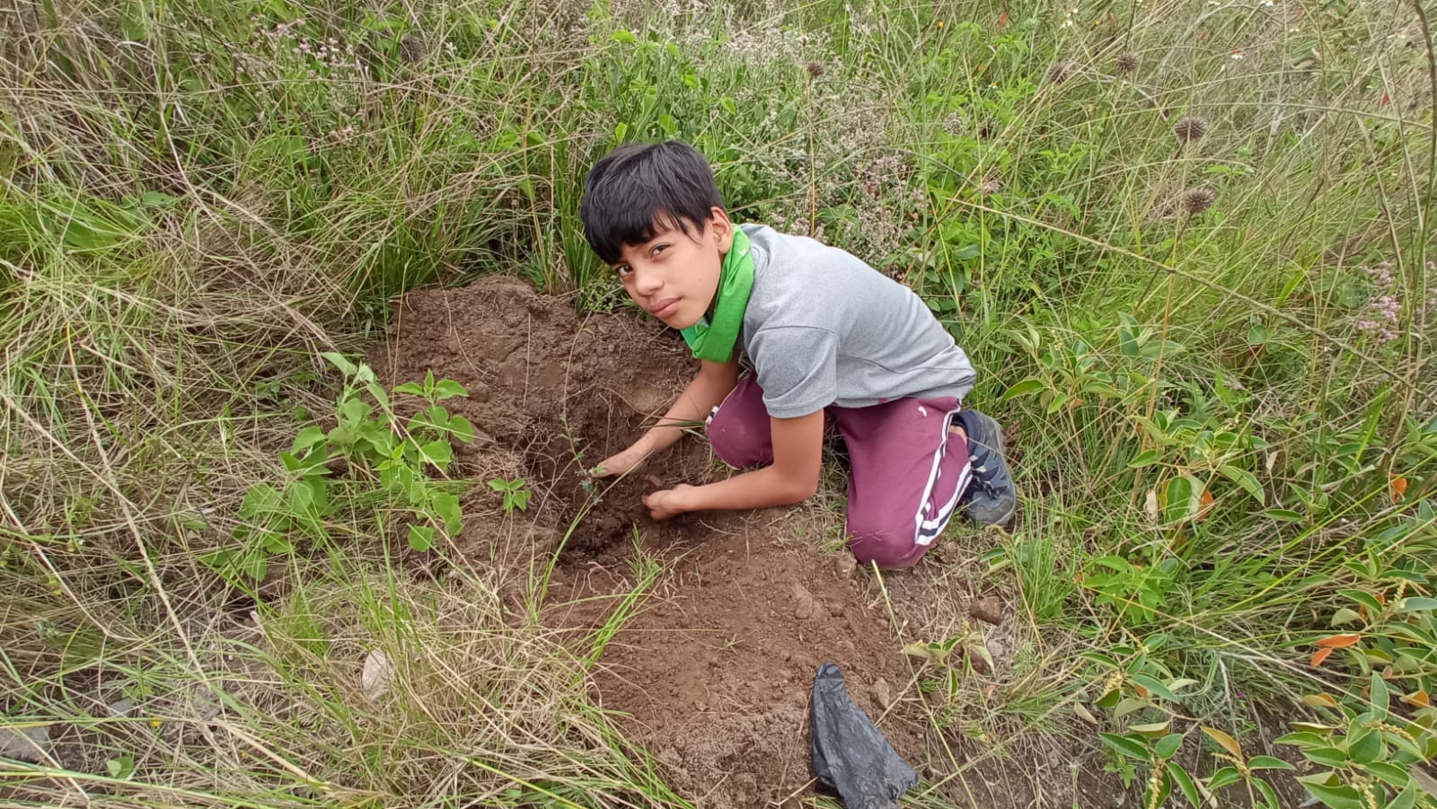 9add092b-d583-4ee9-9a6c-2df12b4cf52c