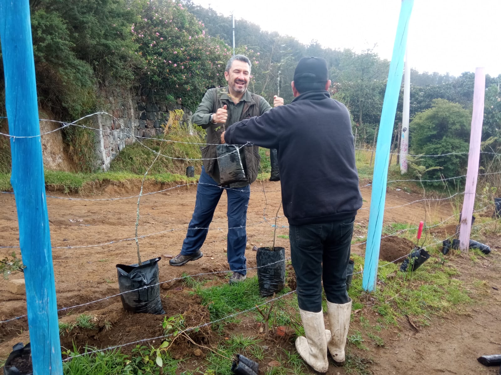 9e894a82-dc4d-445f-a26c-ca76eeb5c687