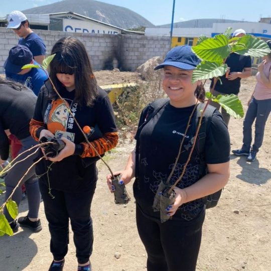 Diseño sin título (1)