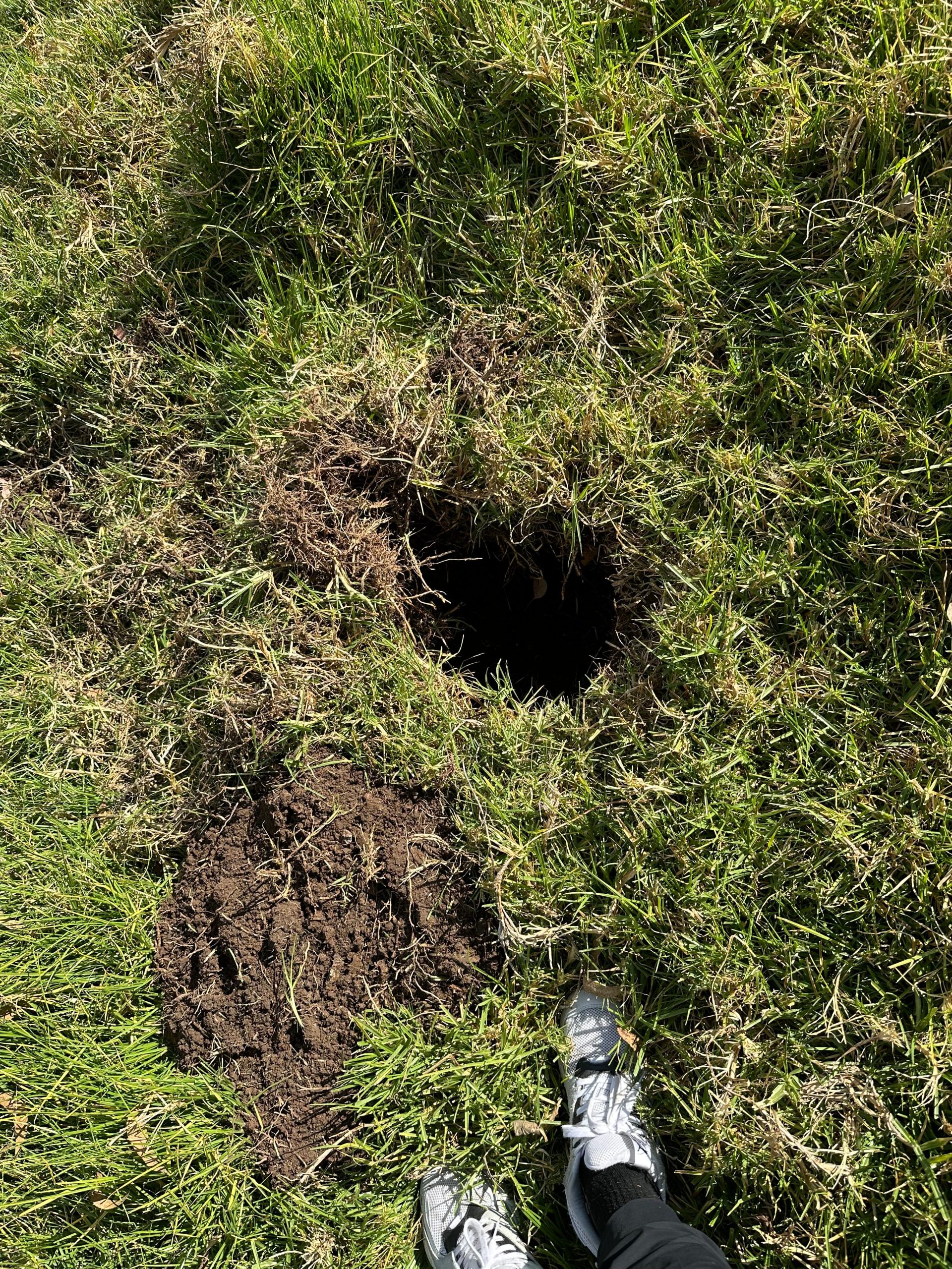 ba9f3533-9fdd-43f2-982b-116cedd1fb61