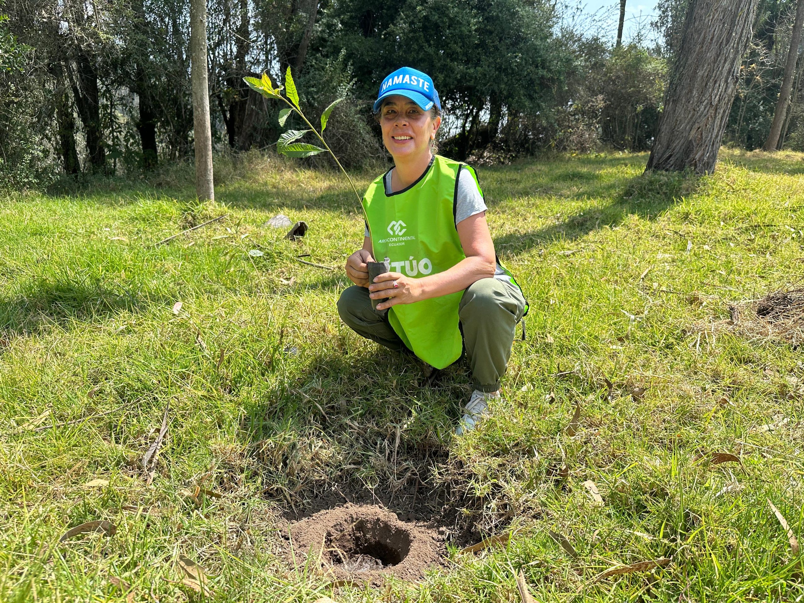 c5af7223-2ada-4595-8cd5-936f6bdfd6de