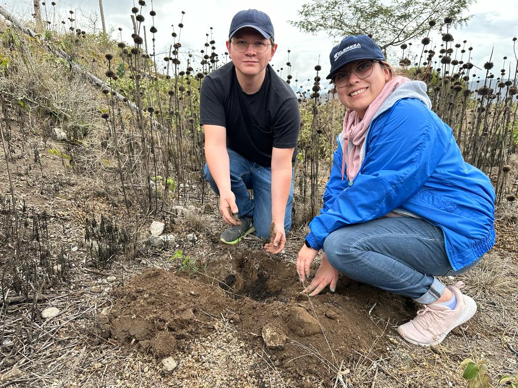 cd4ec0f1-250c-4abe-97d6-28301ed96c38