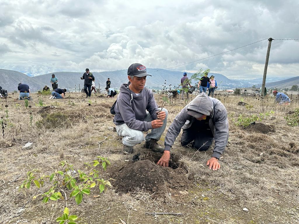 cd59aa72-a1f0-4719-9034-cb4ca584ad16