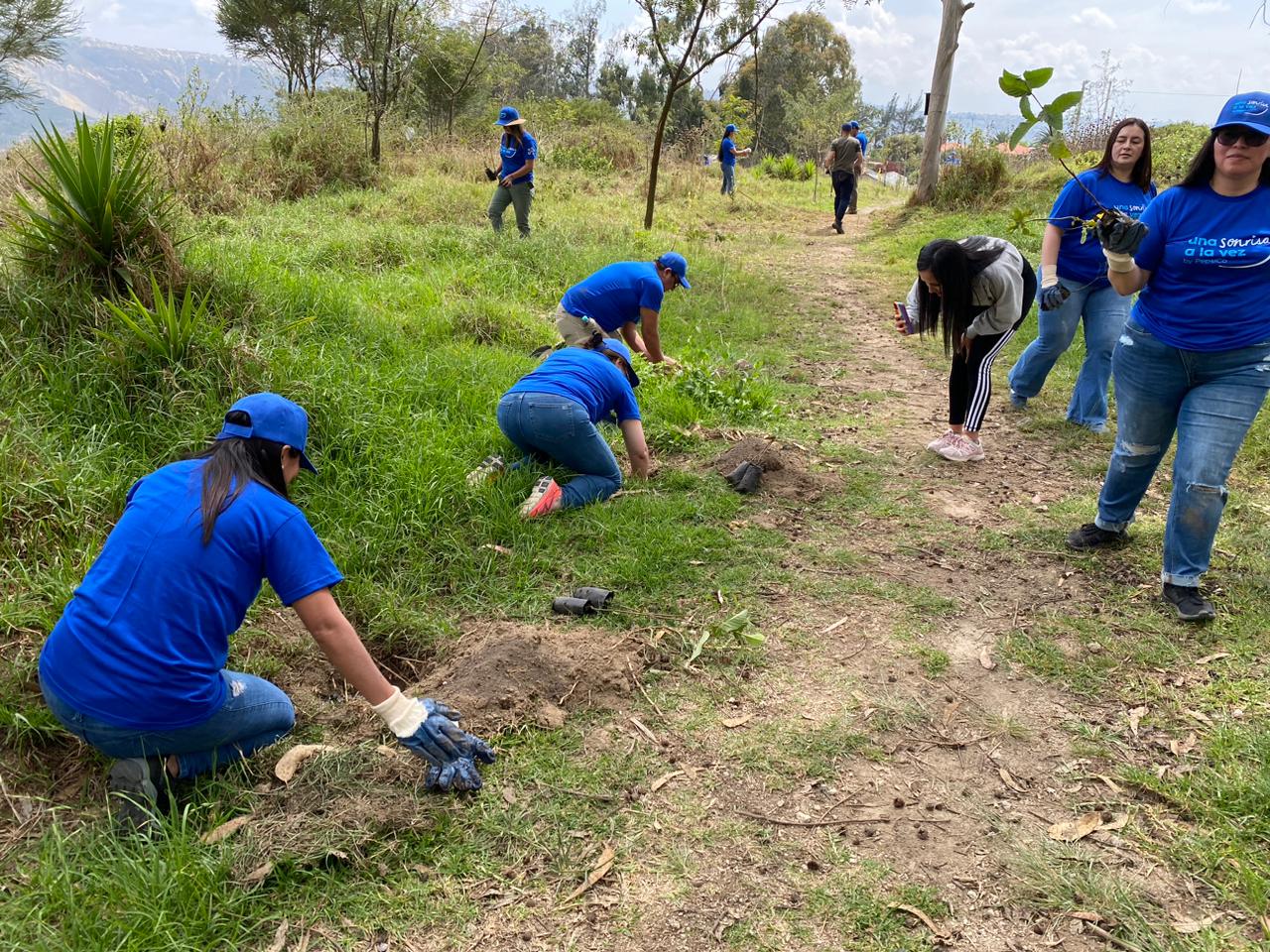 cef966f8-e465-4432-a15c-a31313c51678