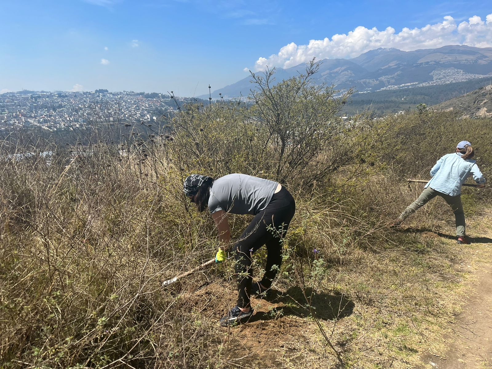 ea0a7b94-e3b4-493c-9a2f-e780ab9e059f