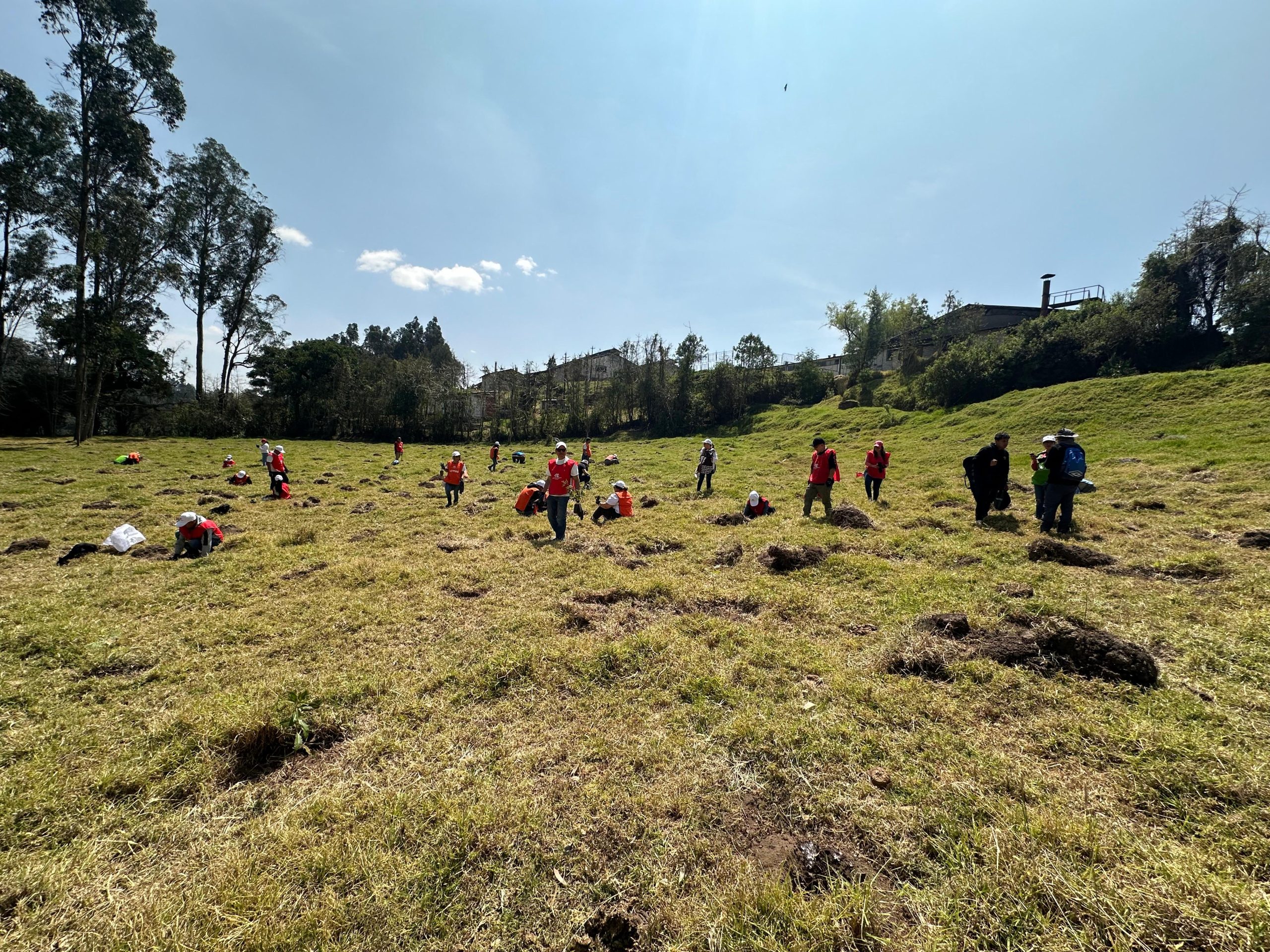 ef6d5045-7f2e-4875-ab14-dda60e0cd771