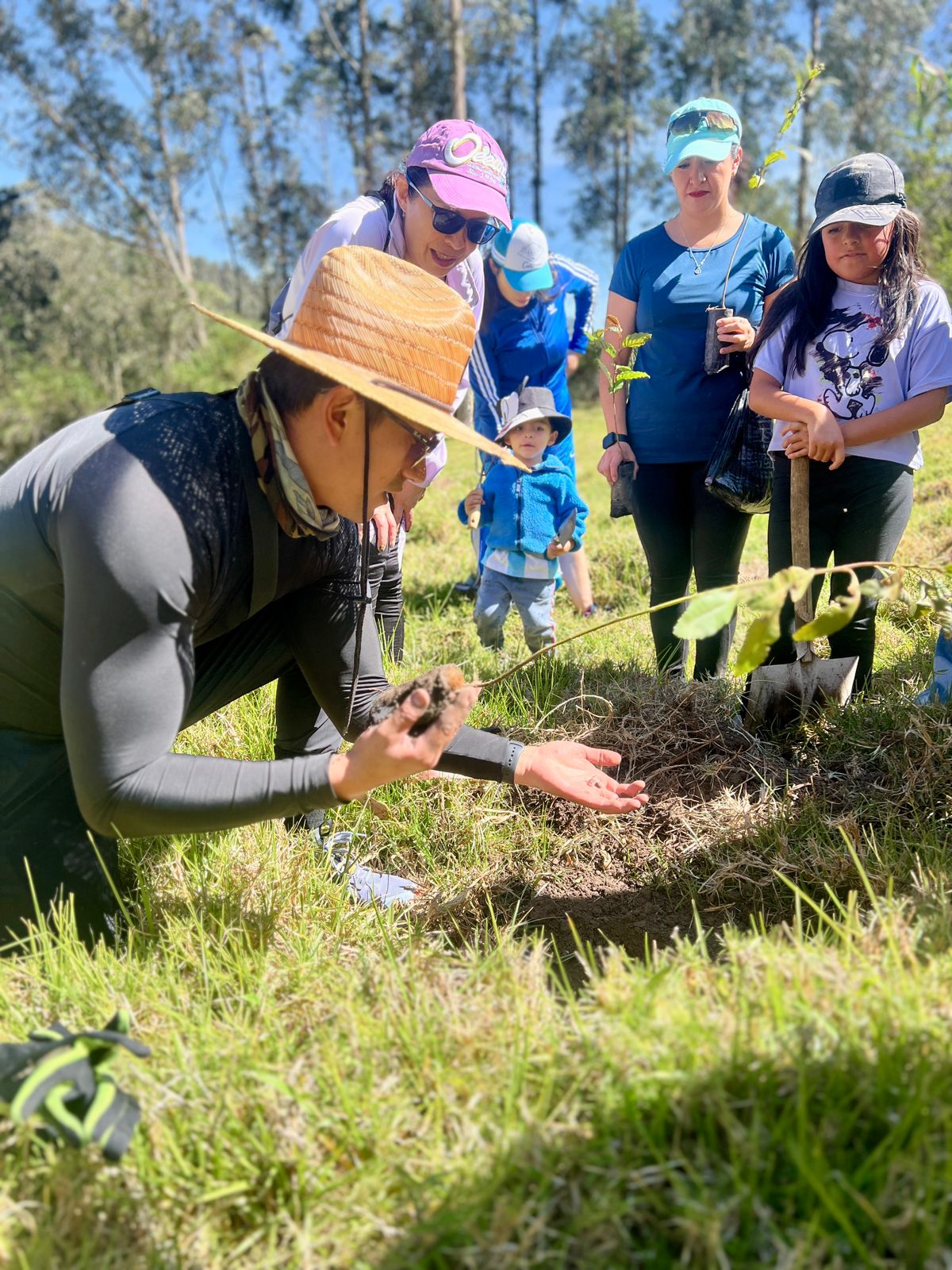 f71e12d3-9faf-4b6a-bb74-741b46b6bce8