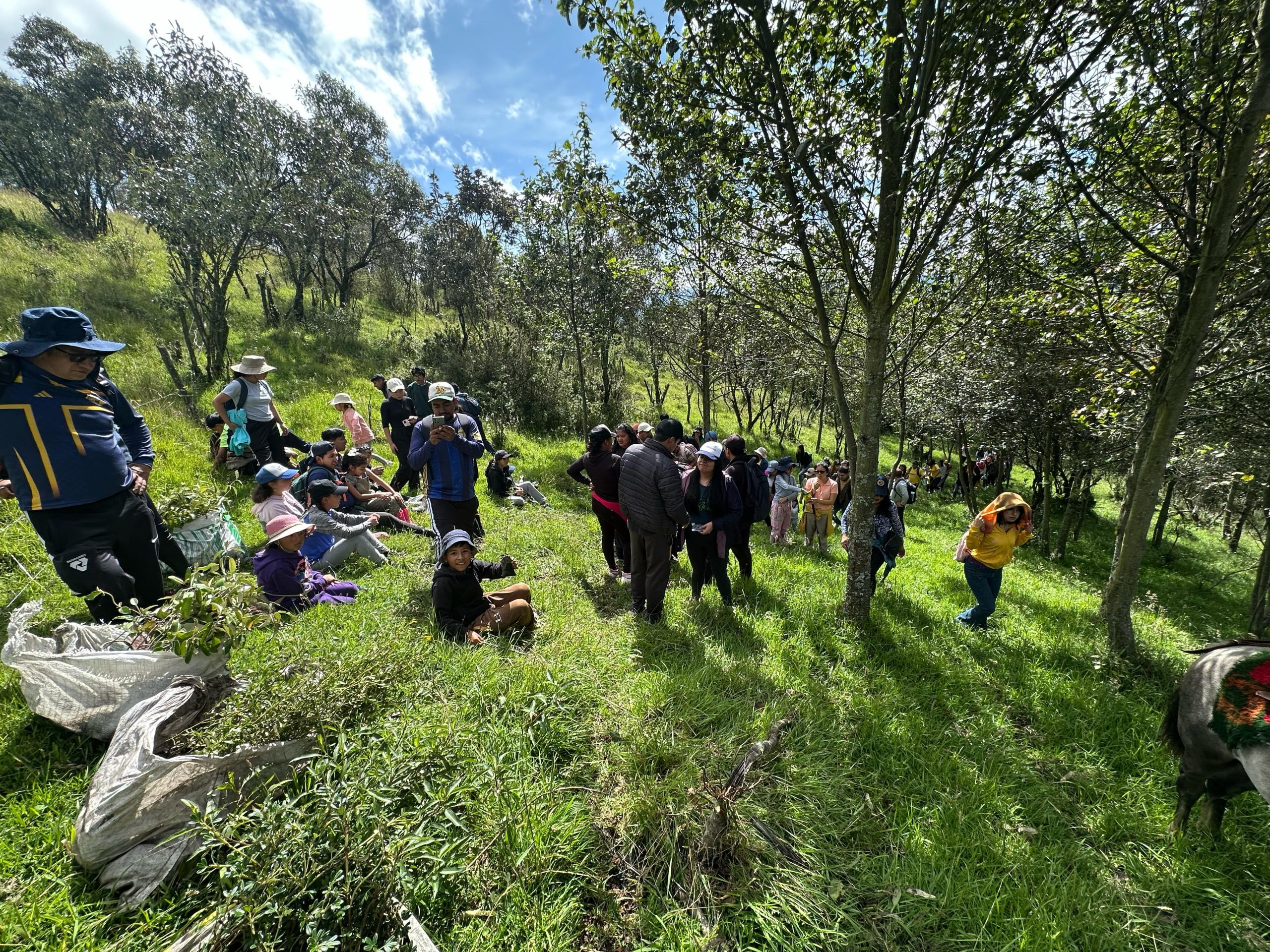 f978a300-d025-4c6b-8331-56bd29c7c797