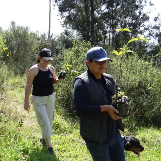 Diseño sin título (2)