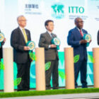 COMAFORS representa a Ecuador en el Global Legal & Sustainable Timber Forum – GLSTF 2026